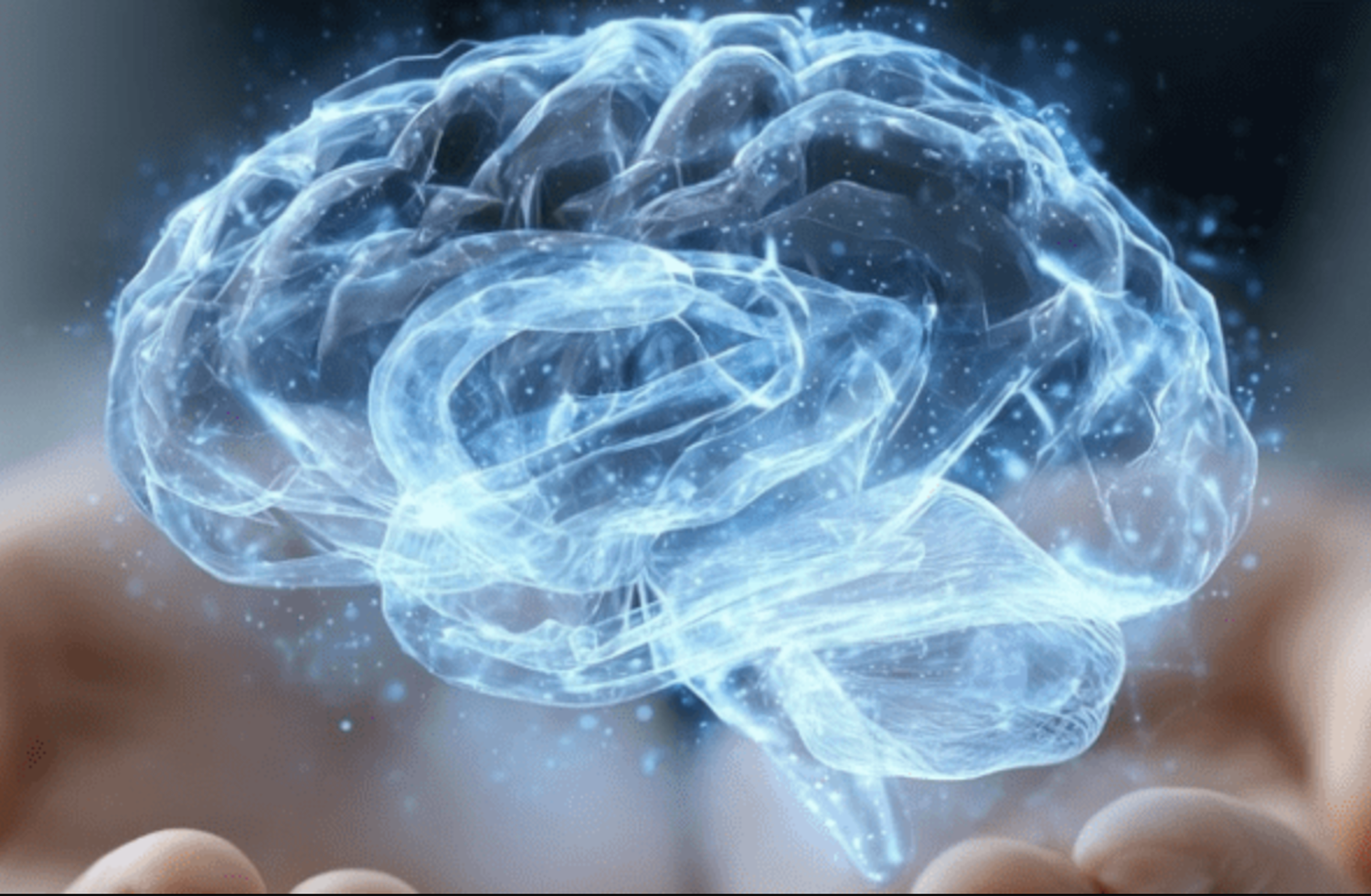 A picture of a brain in cupped hands.