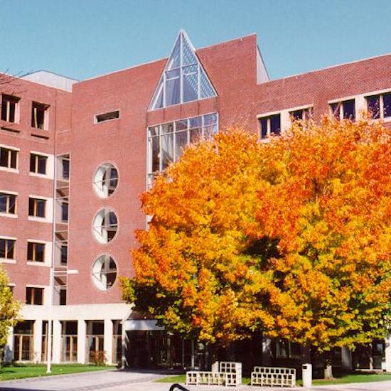 A placeholder photo of the MIT Health building.